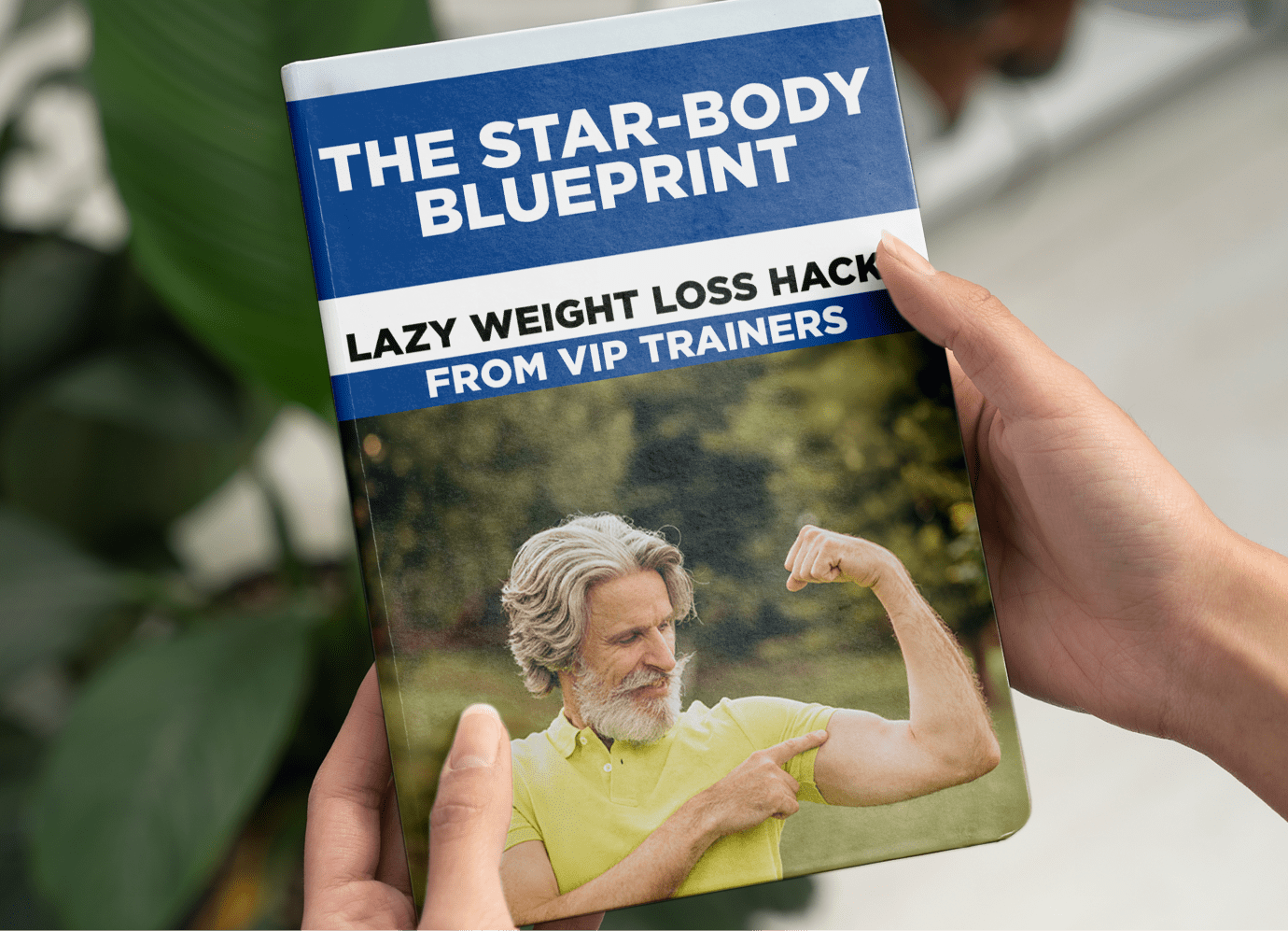 The Star-Body Blueprint